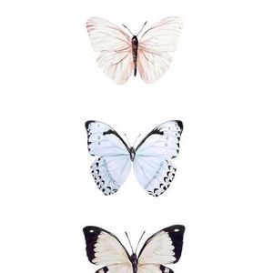 Meet your Posher, Lily